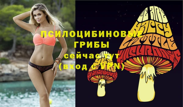 а пвп мука Аркадак