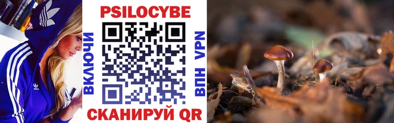 купить   Белая Холуница  Псилоцибиновые грибы Psilocybine cubensis 